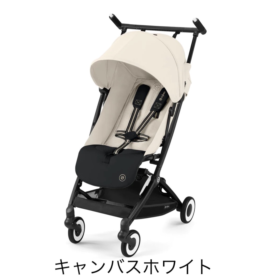 リベル2024年モデル登場！【サイベックス】 | ブロッサム 39