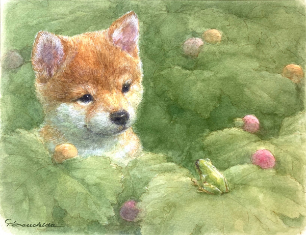画像